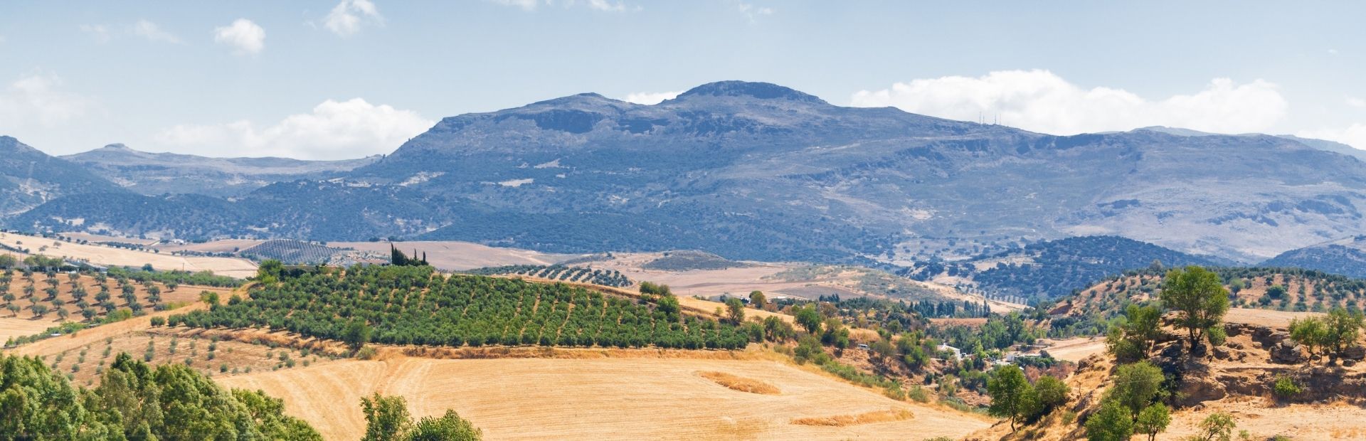 Blick auf die Landschaft bei Pizarra, Spanien