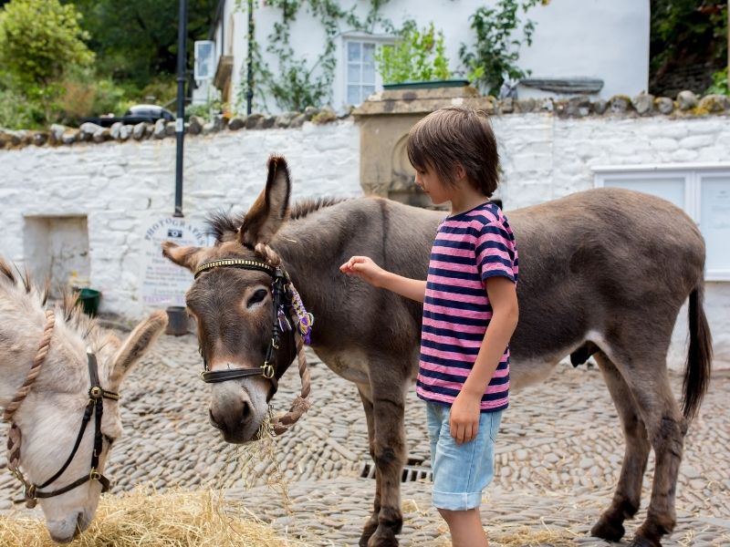 Kind mit Esel in der Region um Malga, Spanien