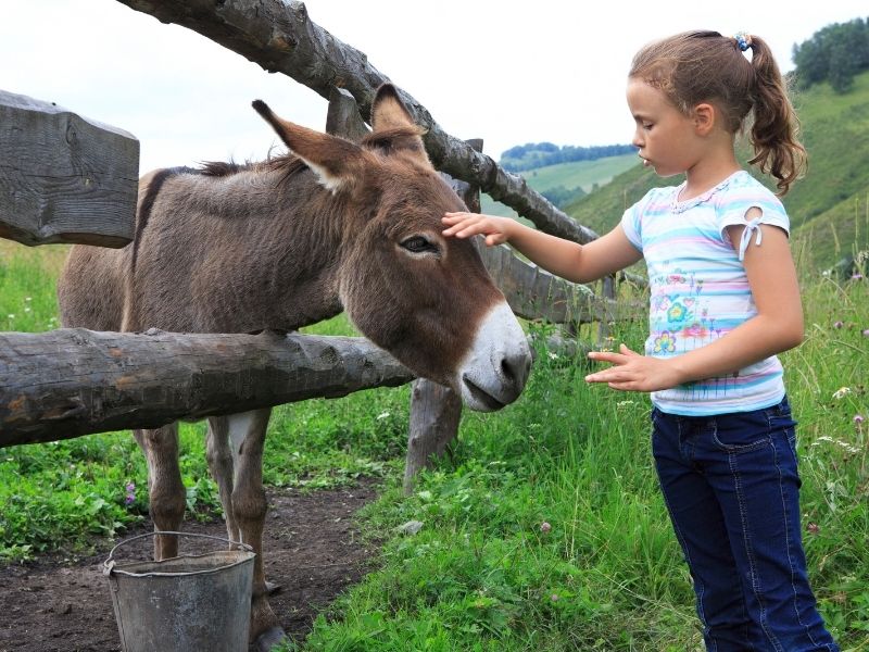 Kind mit Esel, Pizarra, Spanien