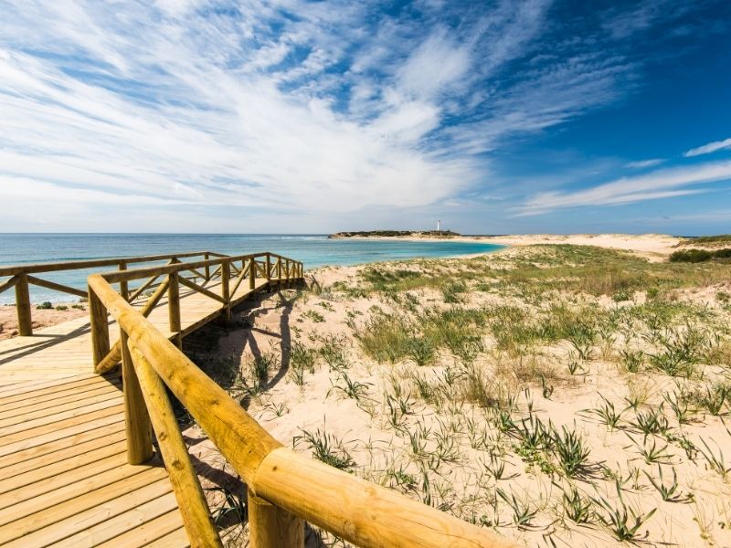 Strand an der Costa da Luz, Zahara de los Atunes, Spanien