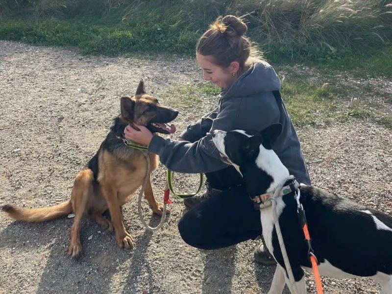 Frau führt Hunde aus dem Tierheim aus, Costa del Sol, Spanien