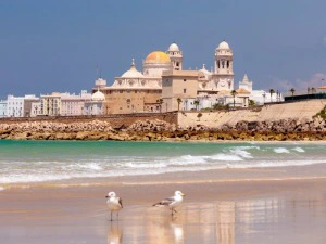 Blick auf die Stadt Cadiz und den benachbarten Strand mit zwei Möwen, Spanien