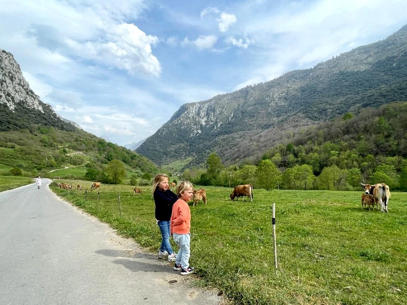 Kindern beim Wandern in Picos de Europa, Spanien