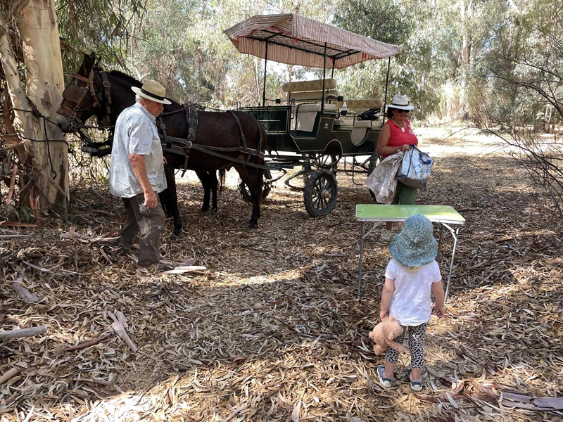 Kutschfahrt mit Kindern in die Natur von Malaga
