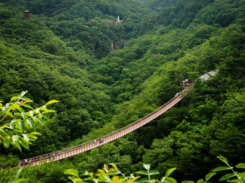 Rote Hängebrücke in der Natur nahe der Demilitarisierten Zone (DMZ) in Südkorea