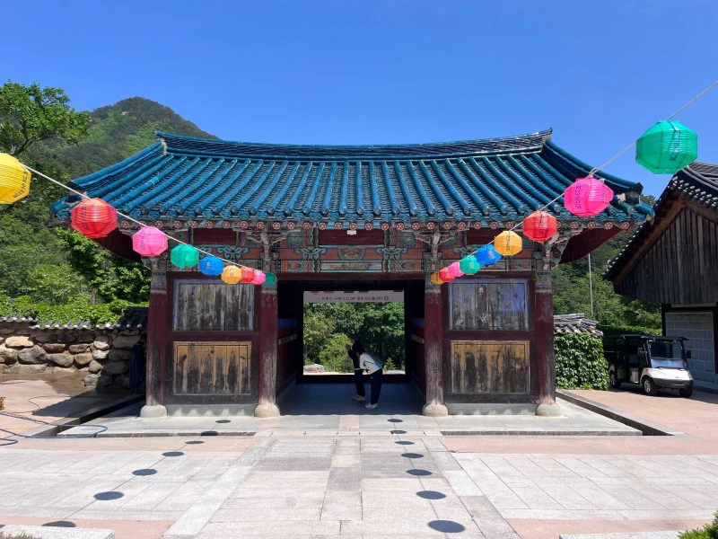 Tempel mit bunten Lampions in Sokcho, Südkorea