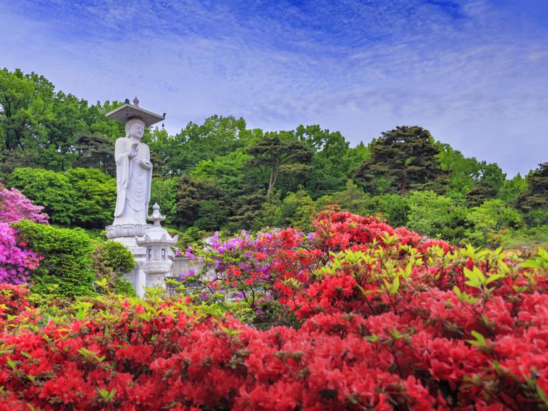 Bunte Blumen vor einer Statue im Bongeunsa Park in Seoul, Südkorea