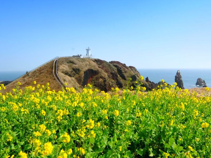 Landschaft auf Jeju, Südkorea