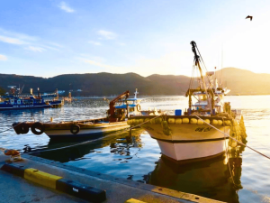 Schiffe im Hafen von Geoje Island in Südkorea