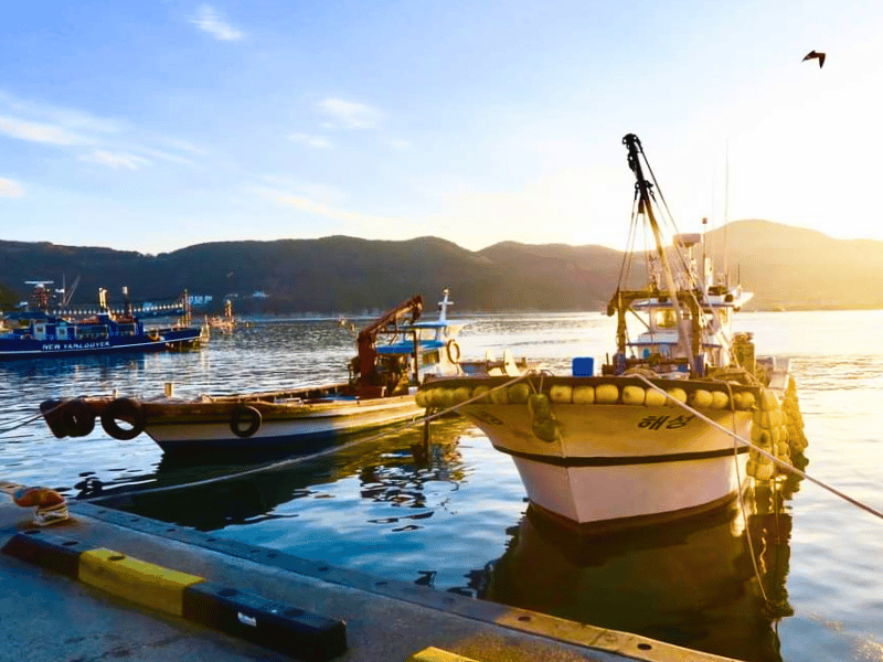Schiffe im Hafen von Geoje Island in Südkorea