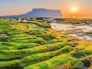 Sonnenaufgang über Jeju Island, Südkorea