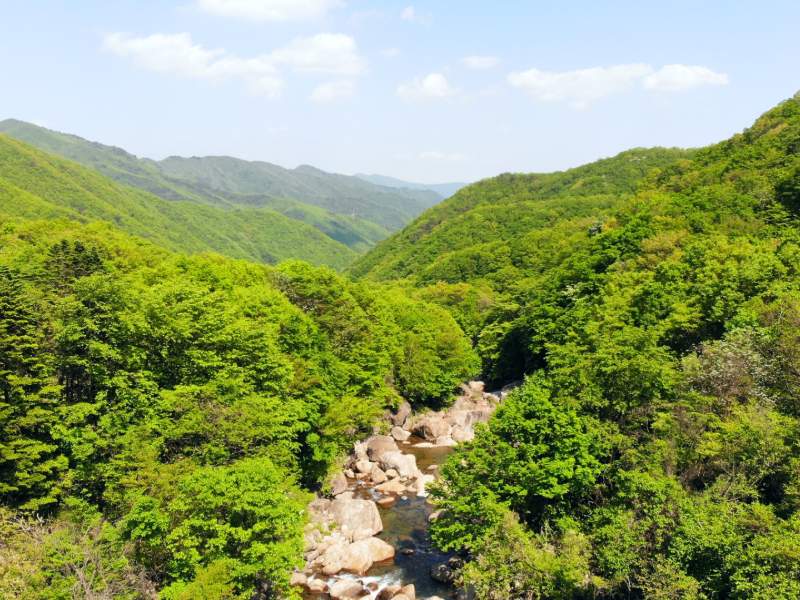 Wanderweg im Jirisan Nationalpark in Südkorea