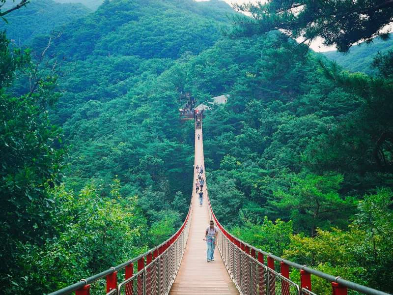 Rote Hängebrücke nahe der Demilitarisierten Zone (DMZ) in Südkorea