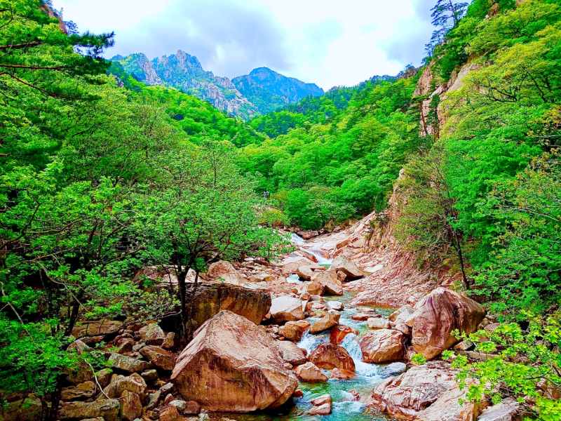 Wilde Natur im Seoraksan Nationalpark, Südkorea