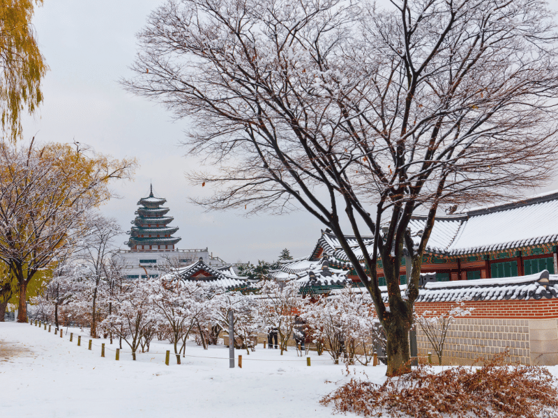 Verschneiter Park und Tempel in Südkorea