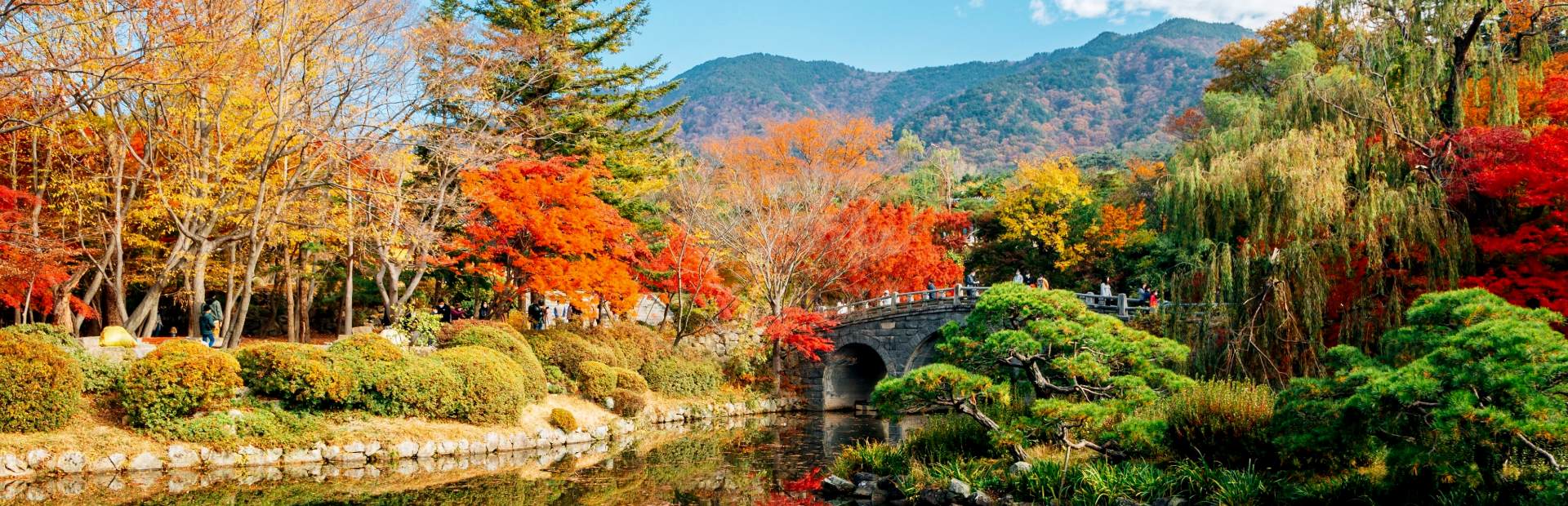 Laubfärbung in einem Park in Gyeongju in Südkorea