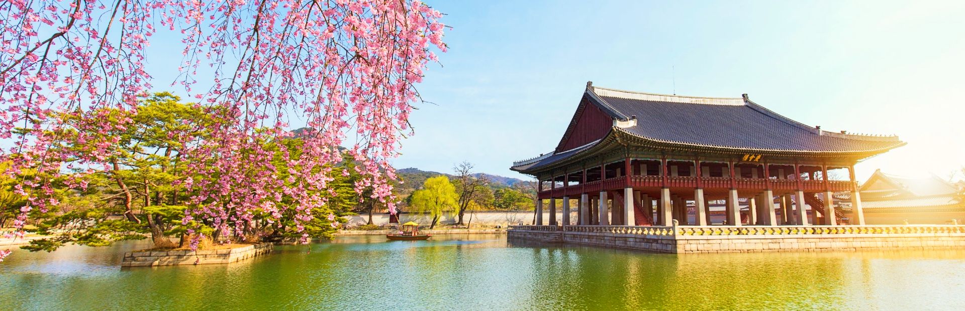 Tempel vor einem blühenden Baum in Südkorea