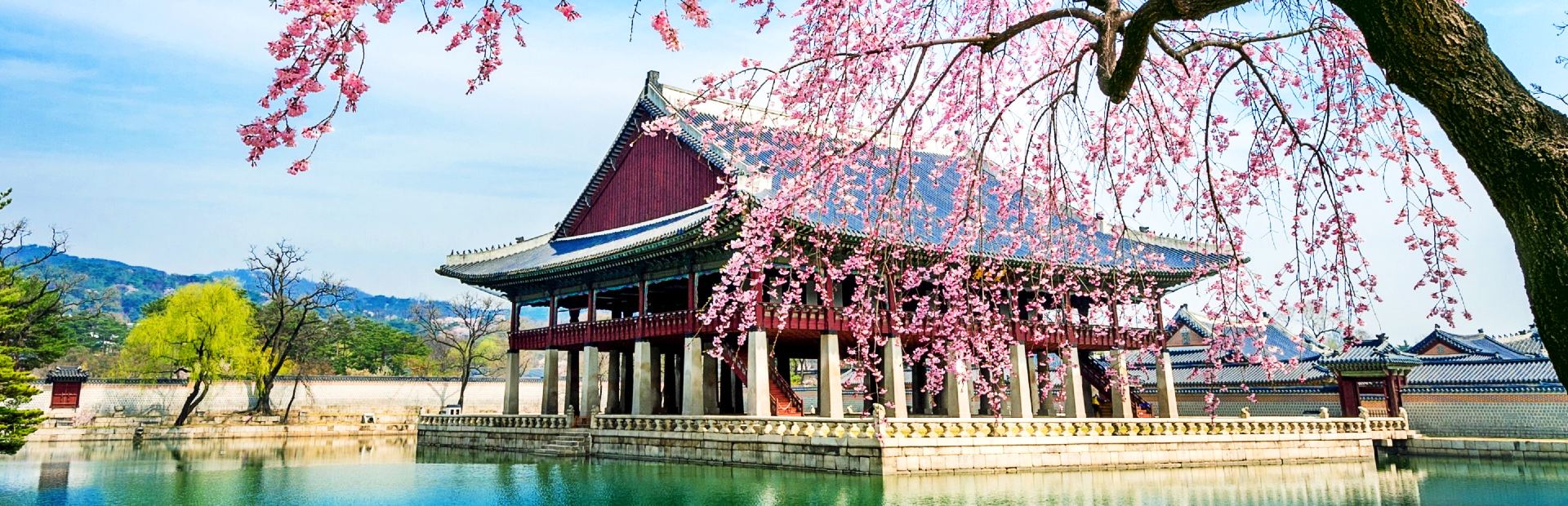 Blühender Baum vor einem Wassertempel in Südkorea